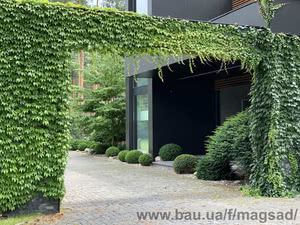 Ландшафтный дизайн &mdash; Магия сада от Катерины Кордун